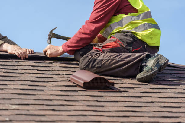 Best Storm Damage Roof Repair  in Millport, AL