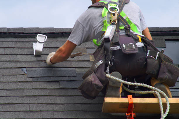 Best Gutter Installation and Roofing  in Millport, AL