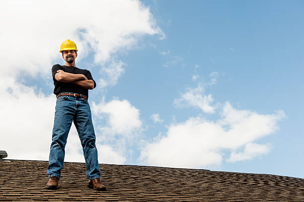 Best Roof Gutter Cleaning  in Millport, AL