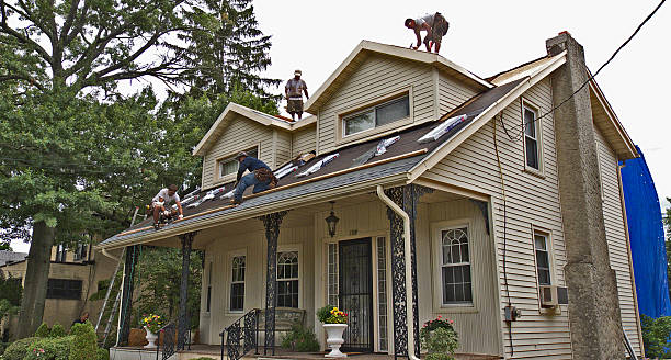 Best Local Roofing Companies  in Millport, AL